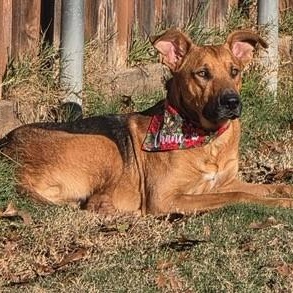 Chance — thumbnail 4