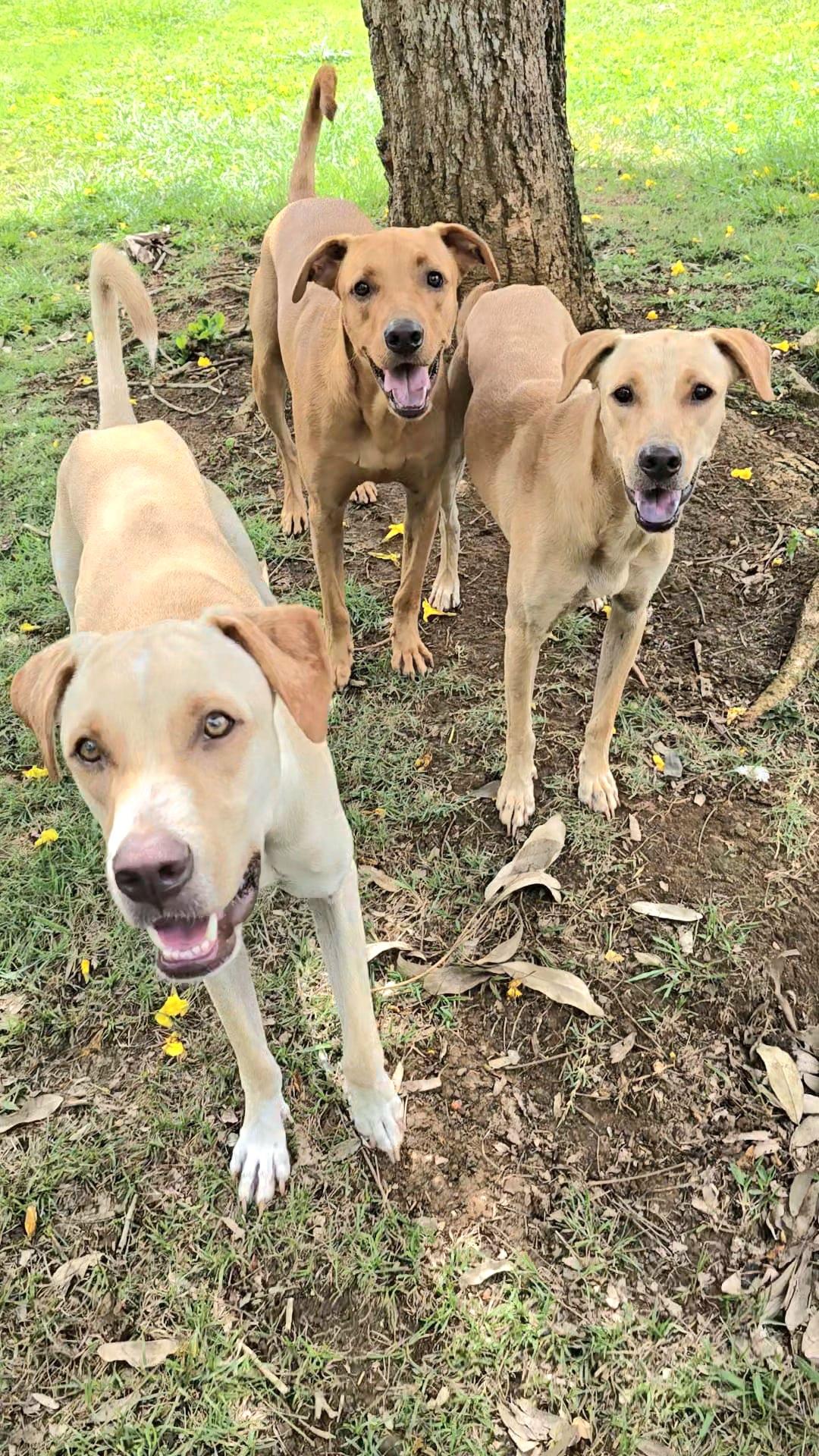 Latte "make Me Your thumbnail 2