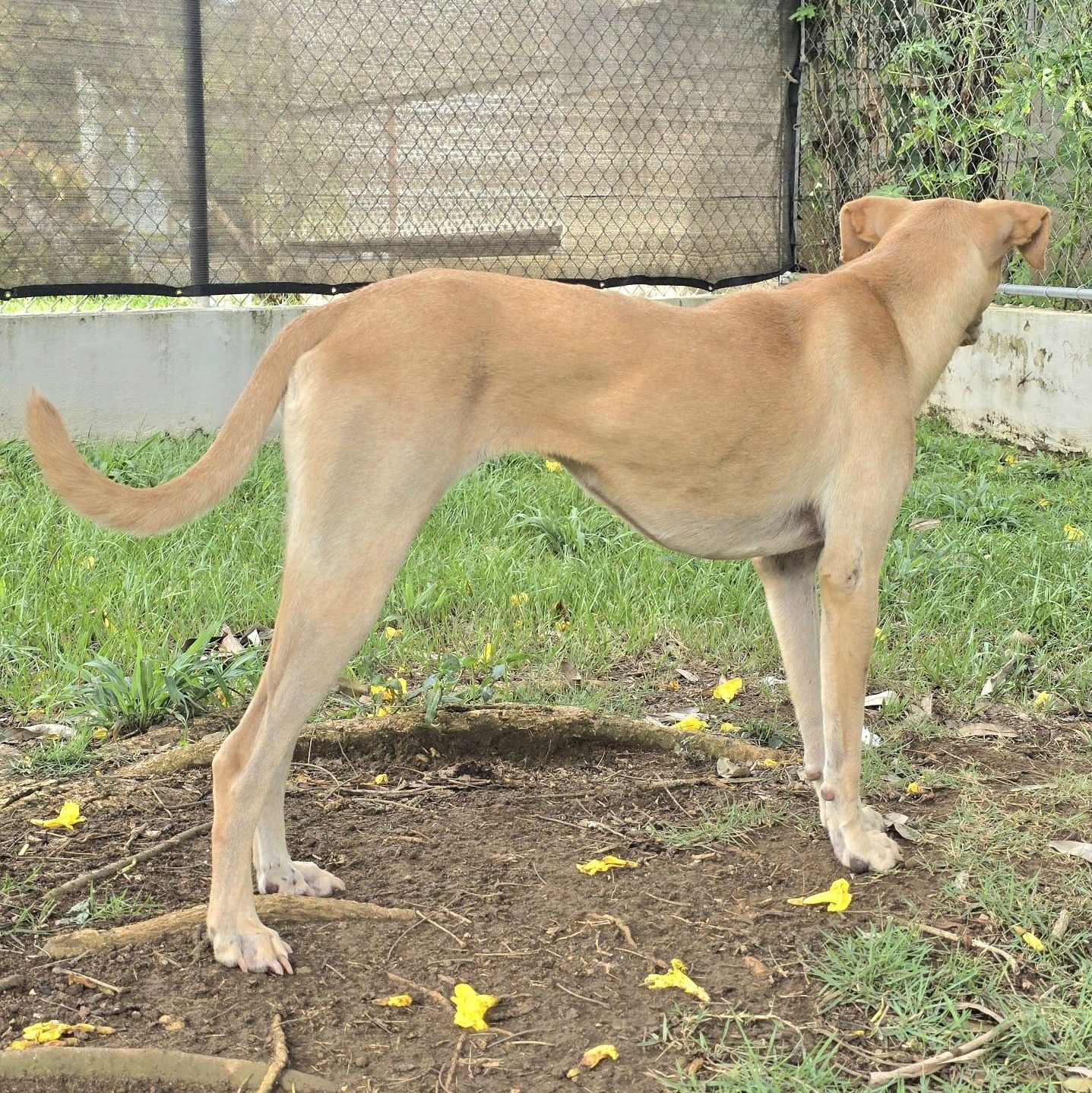 Latte "make Me Your thumbnail 4