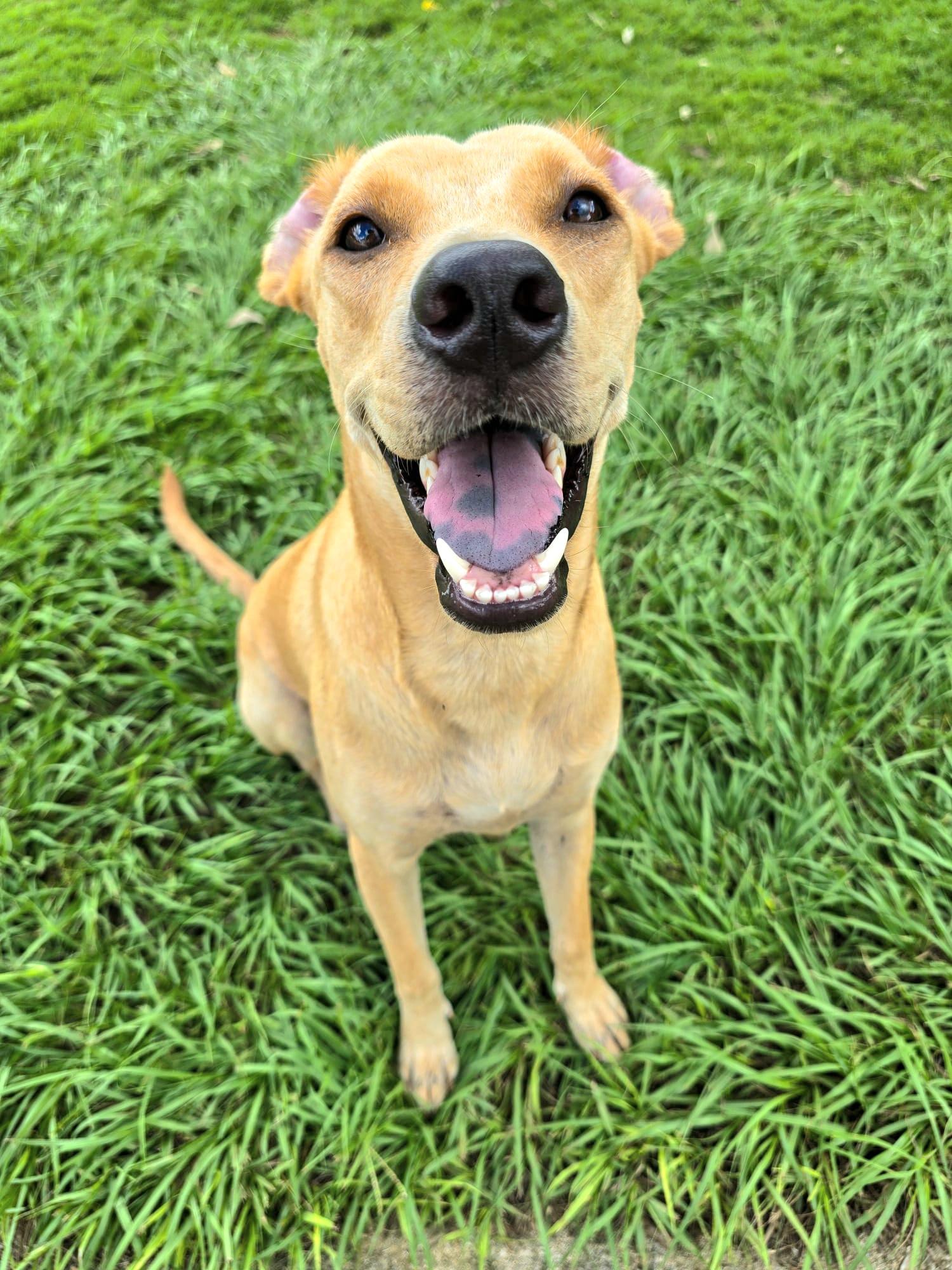 Latte "make Me Your thumbnail 5