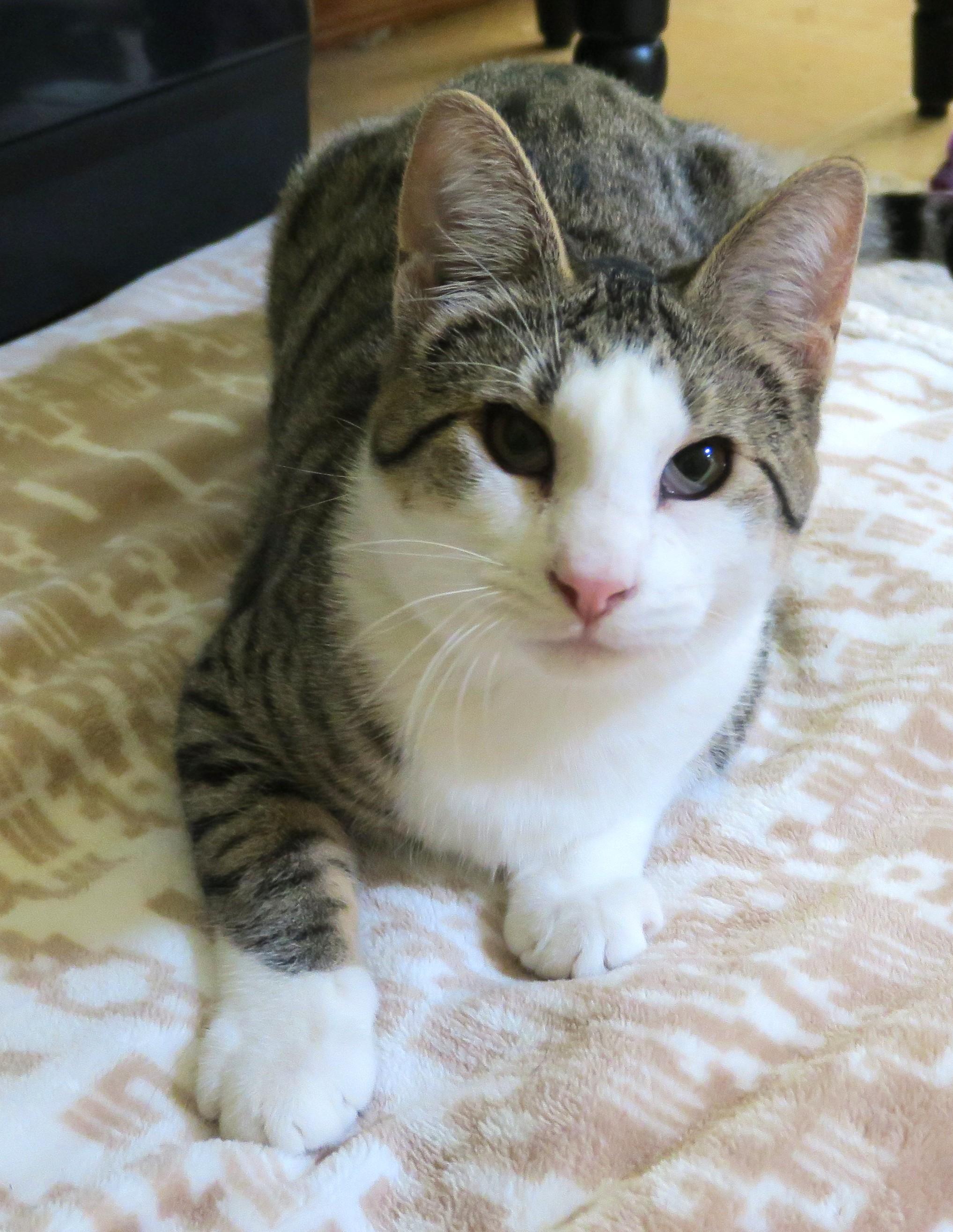 Sweet Pea (the Unclaimed photo 1