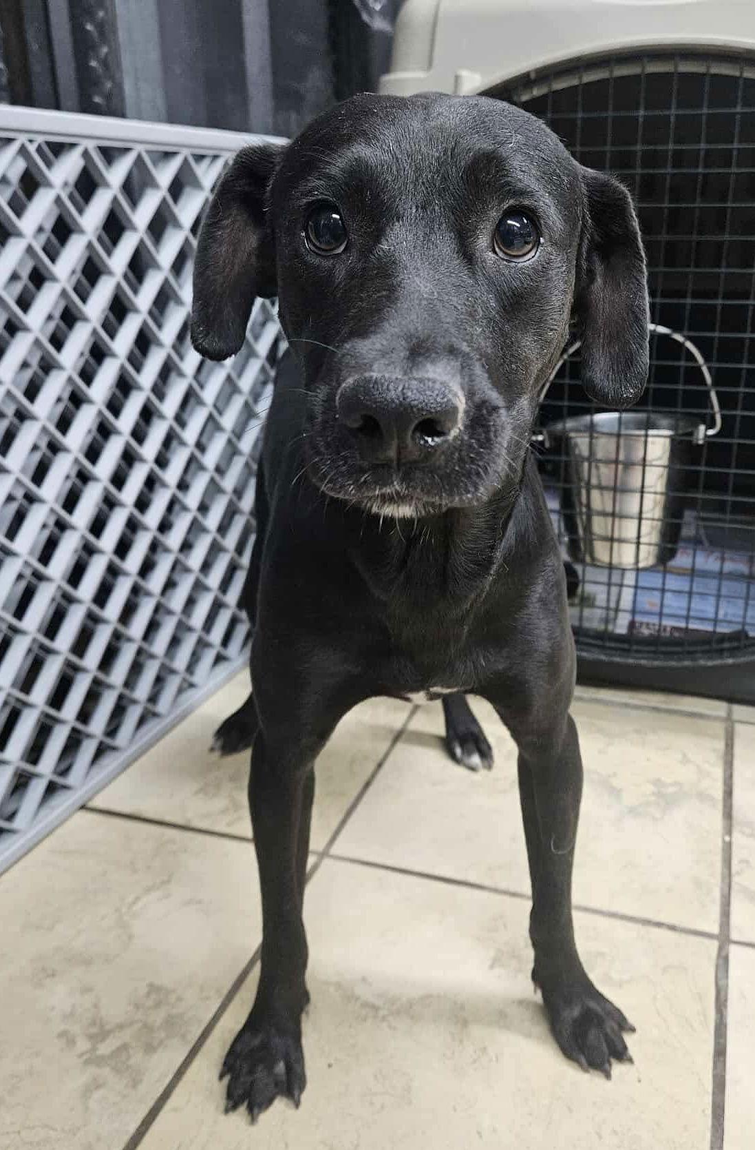 Happy — thumbnail 2