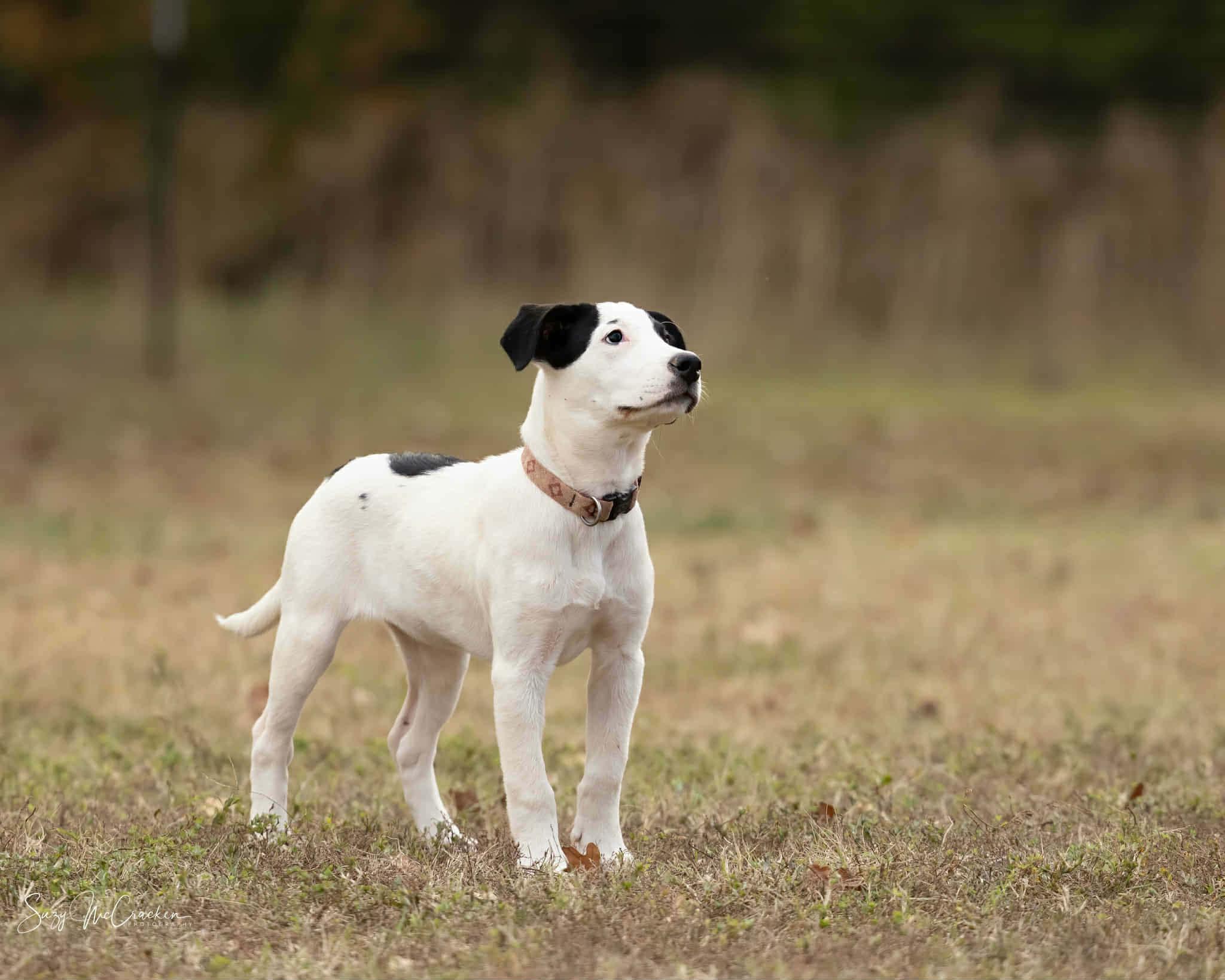 Christine thumbnail 2