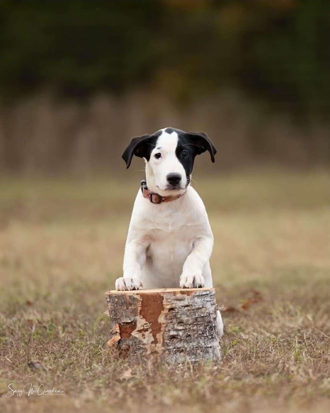 Christine thumbnail 3