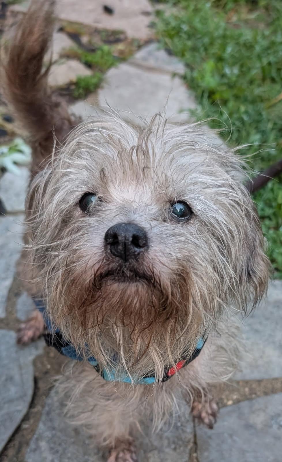Winston