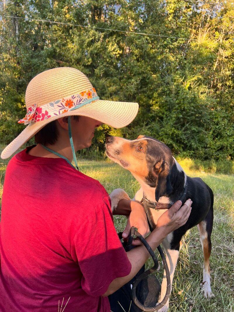 Enlarge Buster, a Adoptable Mixed Breed in Thomasville, AL image 3/4