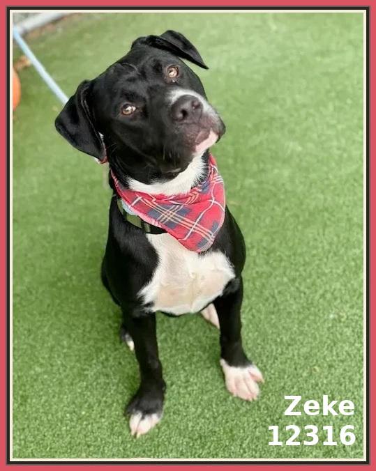 ZEKE