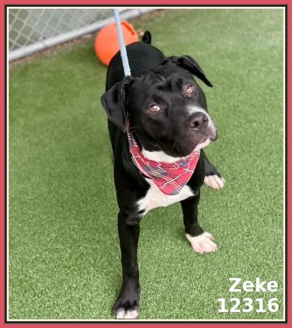 ZEKE
