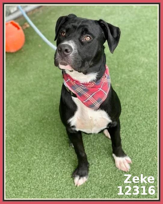 ZEKE