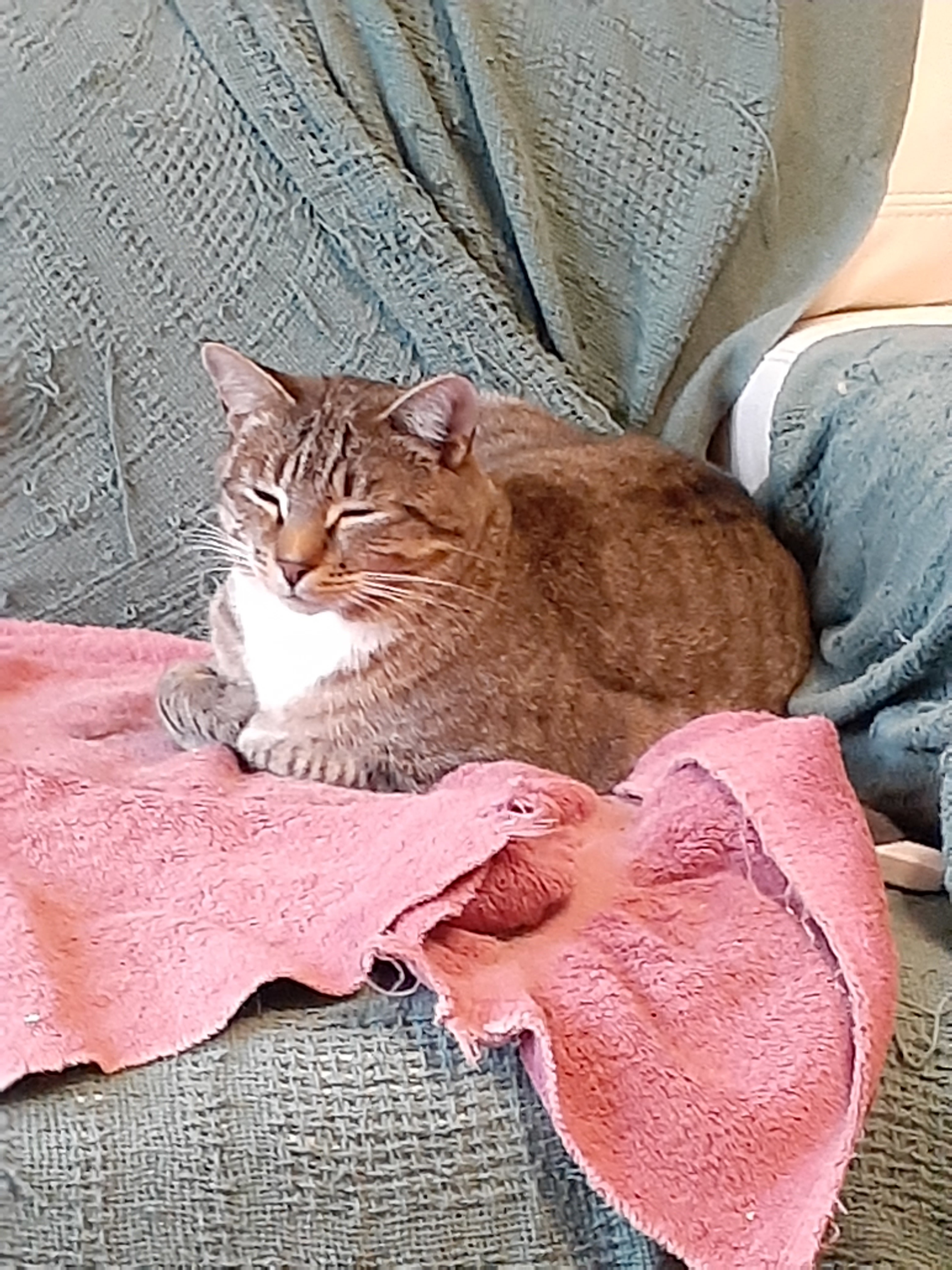 Scary Spice & Baby thumbnail 5