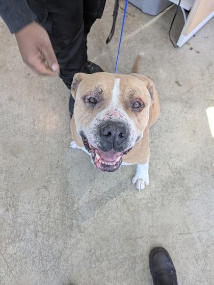 Ralo — thumbnail 2