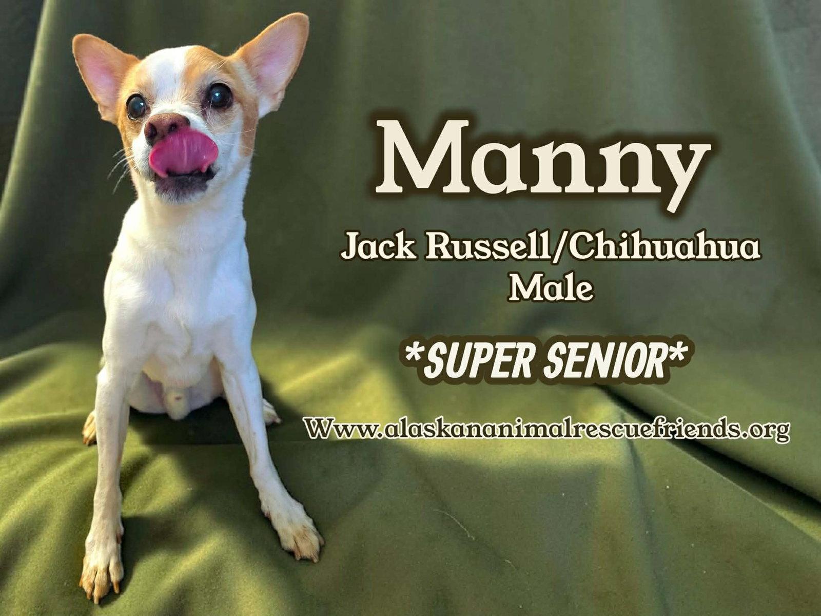 Enlarge Manny, a Adoptable mixed breed in Anchorage, AK image 1/1