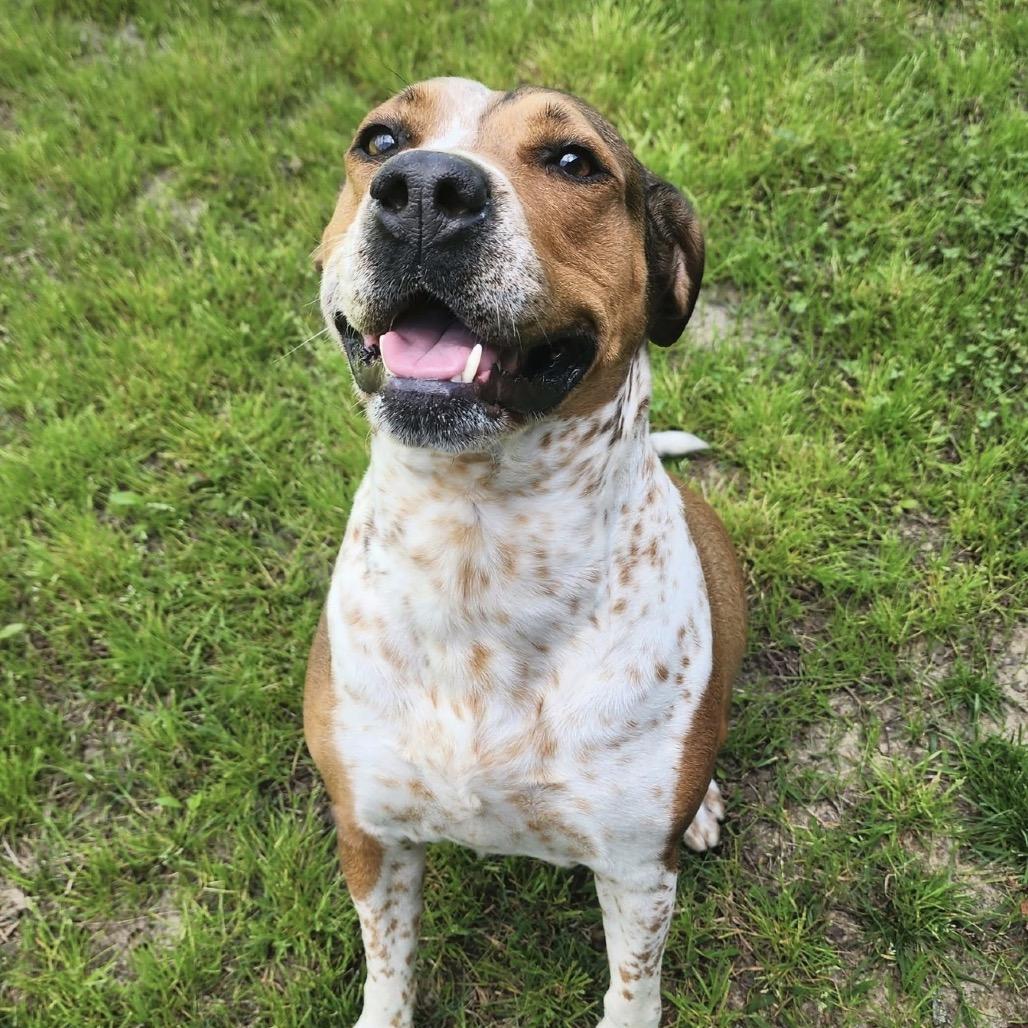 Molly — thumbnail 4