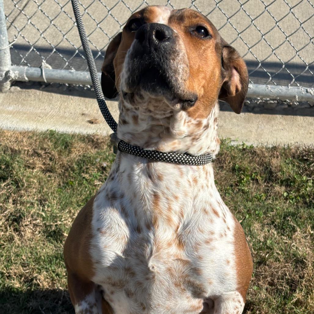 Molly — thumbnail 5