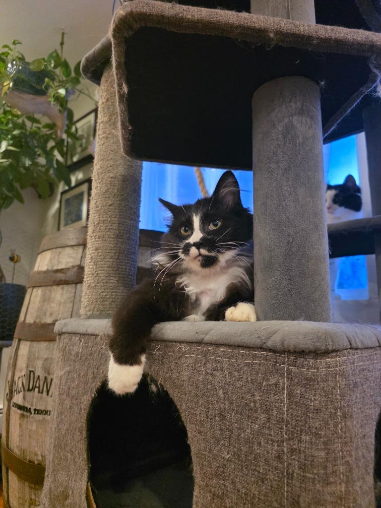 Kobuk — thumbnail 2