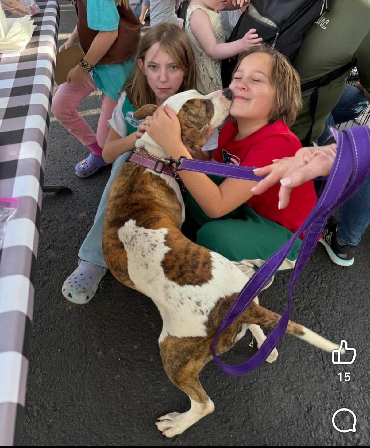 Enlarge Marla, a Adoptable mixed breed in Cumming, GA image 6/6