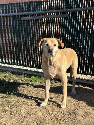 Teddy — thumbnail 2