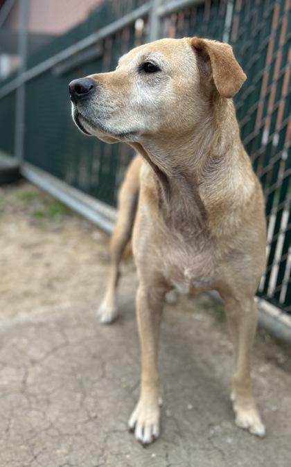 Teddy — thumbnail 3