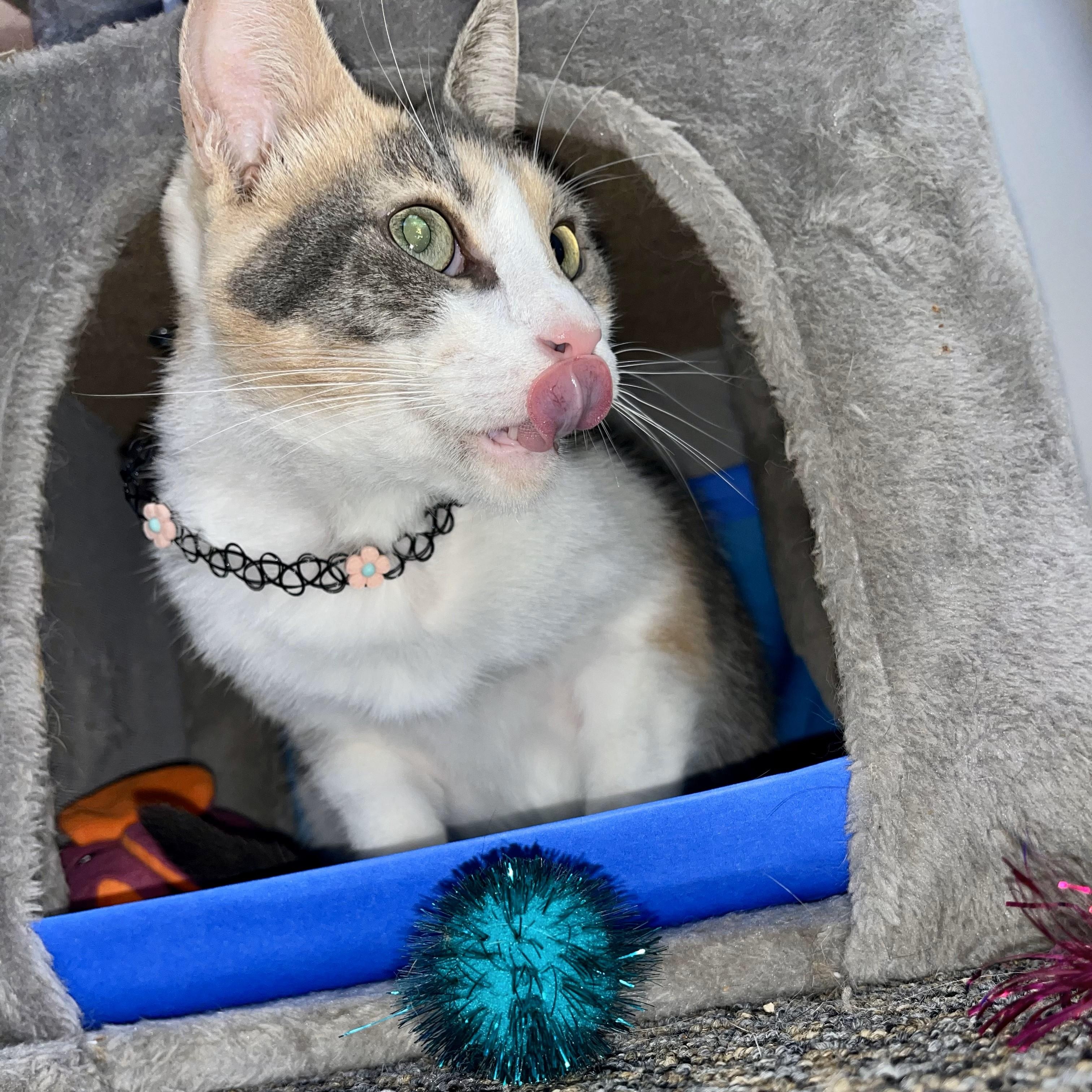 Tsunami — thumbnail 4