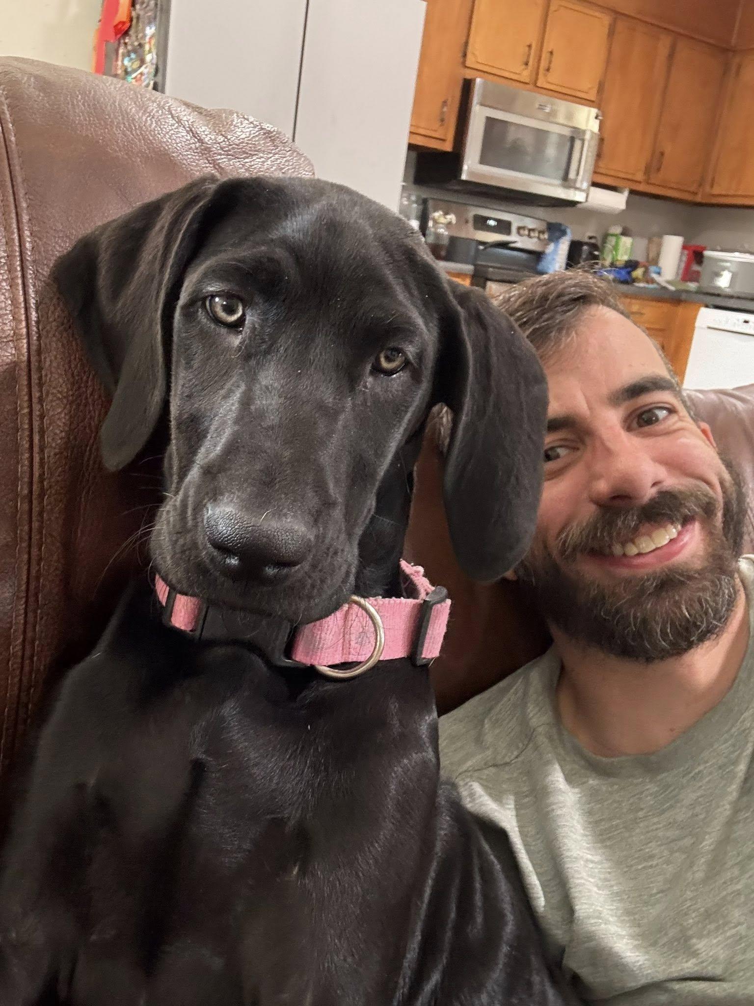 Enlarge Butternut, an adopted Great Dane in Pensacola, FL image 6/6