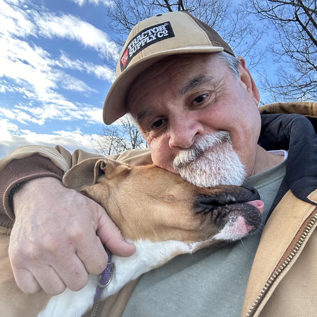 Enlarge Ginger, a Adoptable Mixed Breed in Jefferson city, TN image 4/6