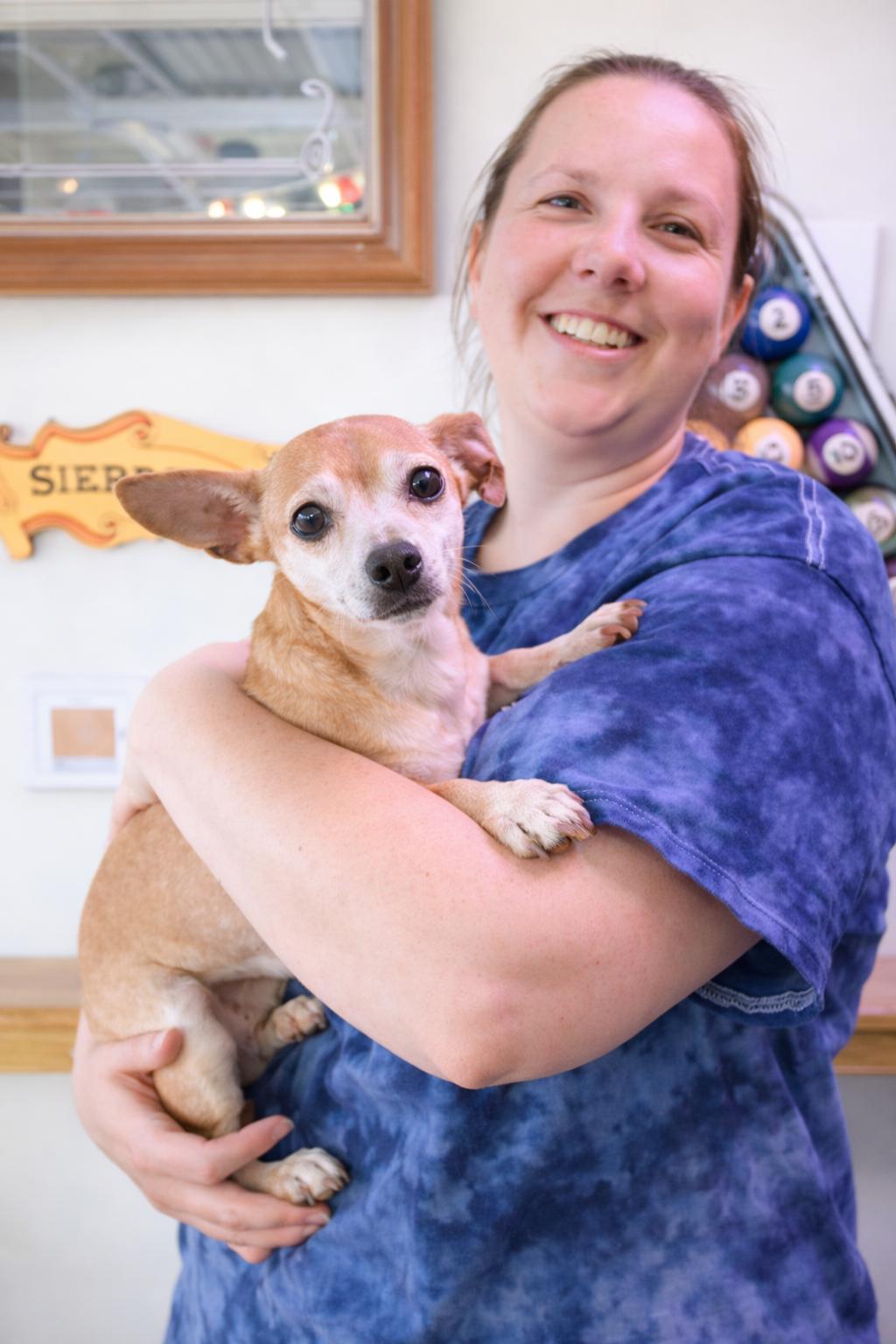 Sugar Chi, Adopted, Senior Female Chihuahua.