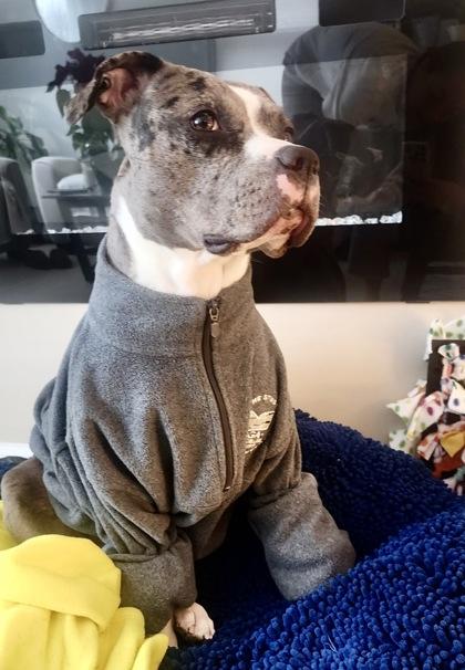 Chance — thumbnail 2