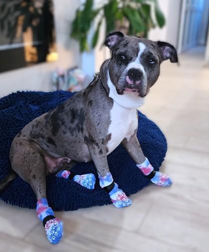 Chance — thumbnail 3