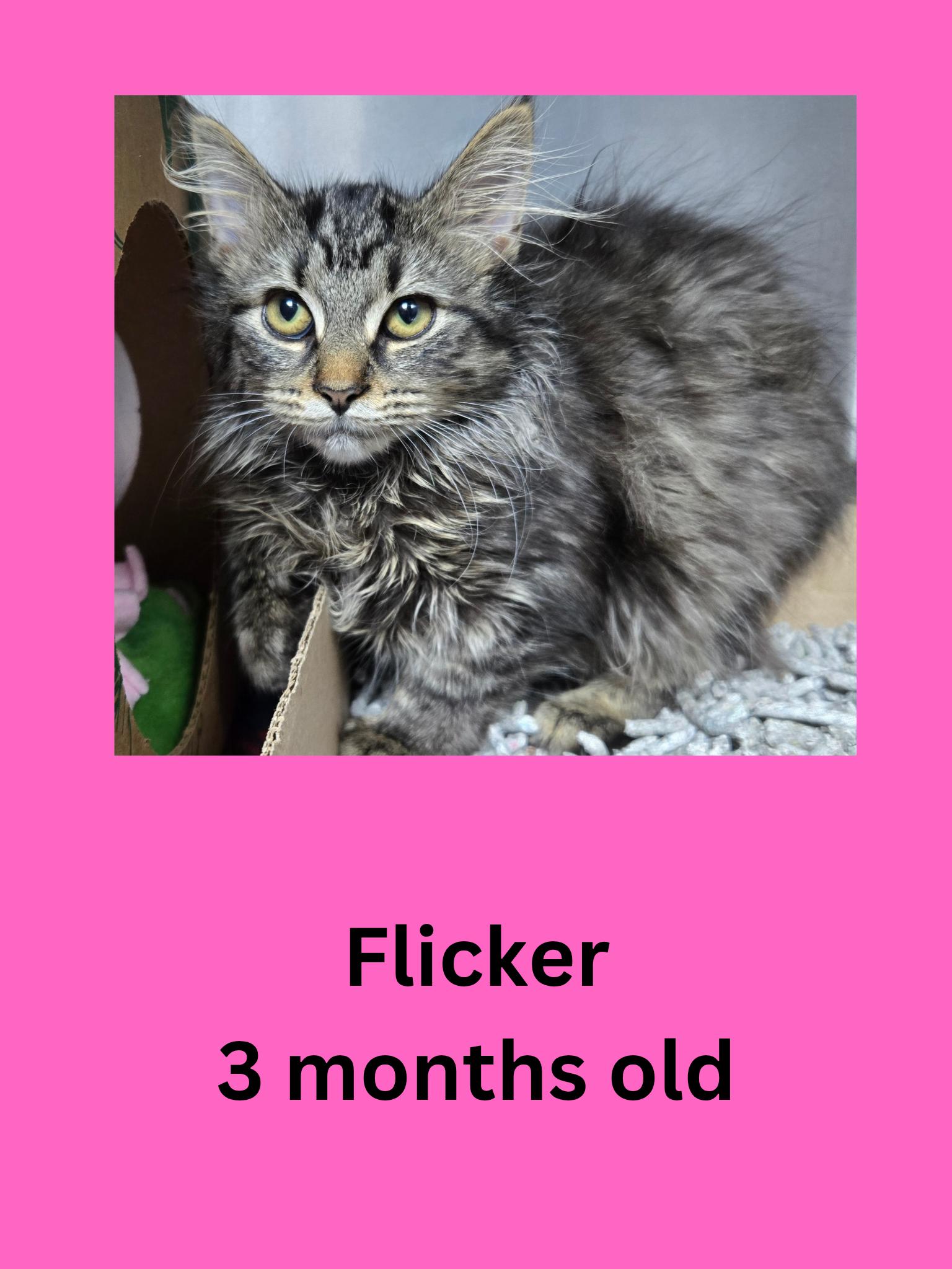 Flicker photo