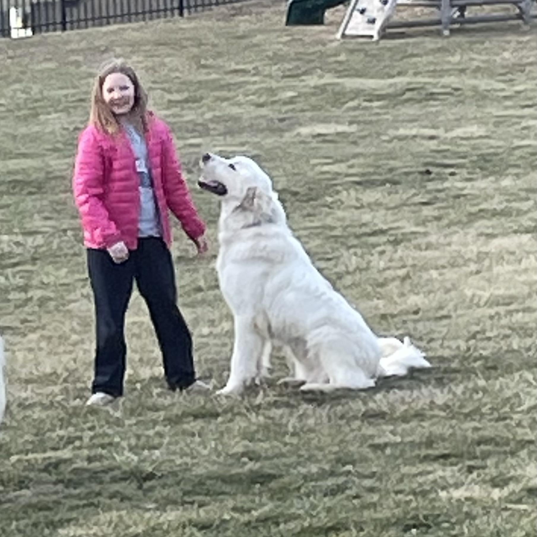 Toro- Young- Foster Needed — thumbnail 6