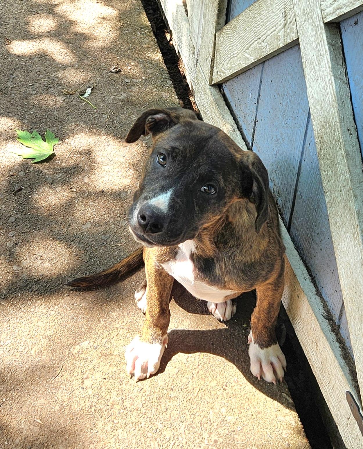 Duke