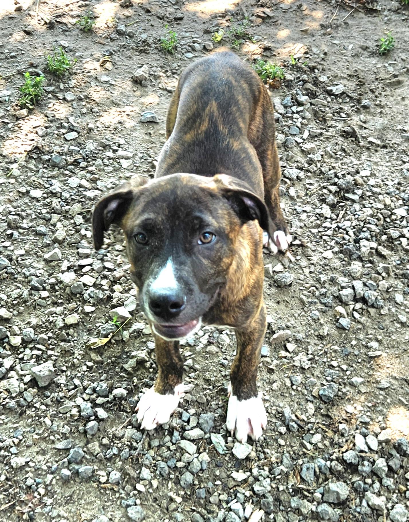 Duke
