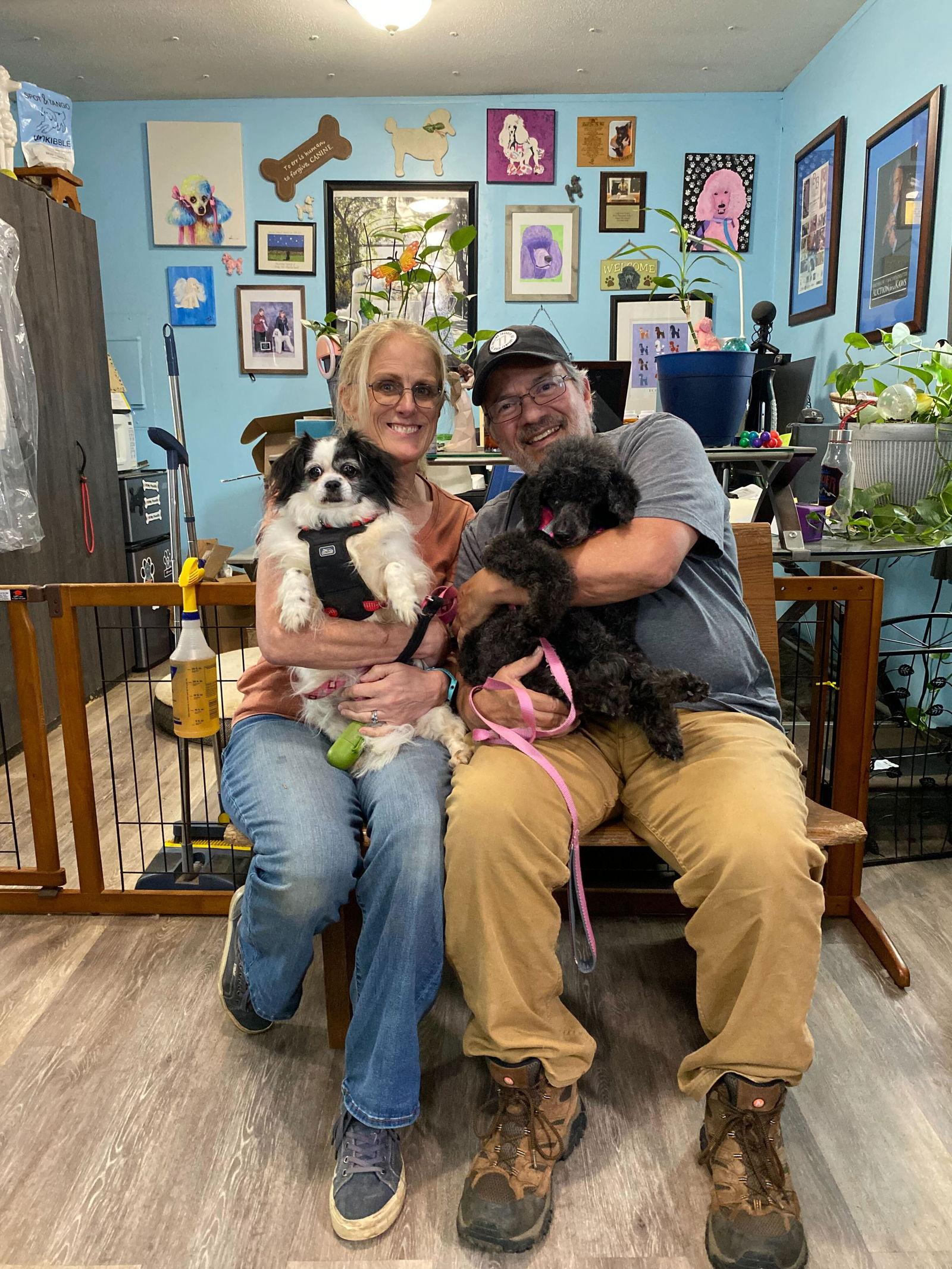 Enlarge Cato aka Harry Jr - A Dapper Senior Boy, a Adopted mixed breed in Pacolet, SC image 3/3