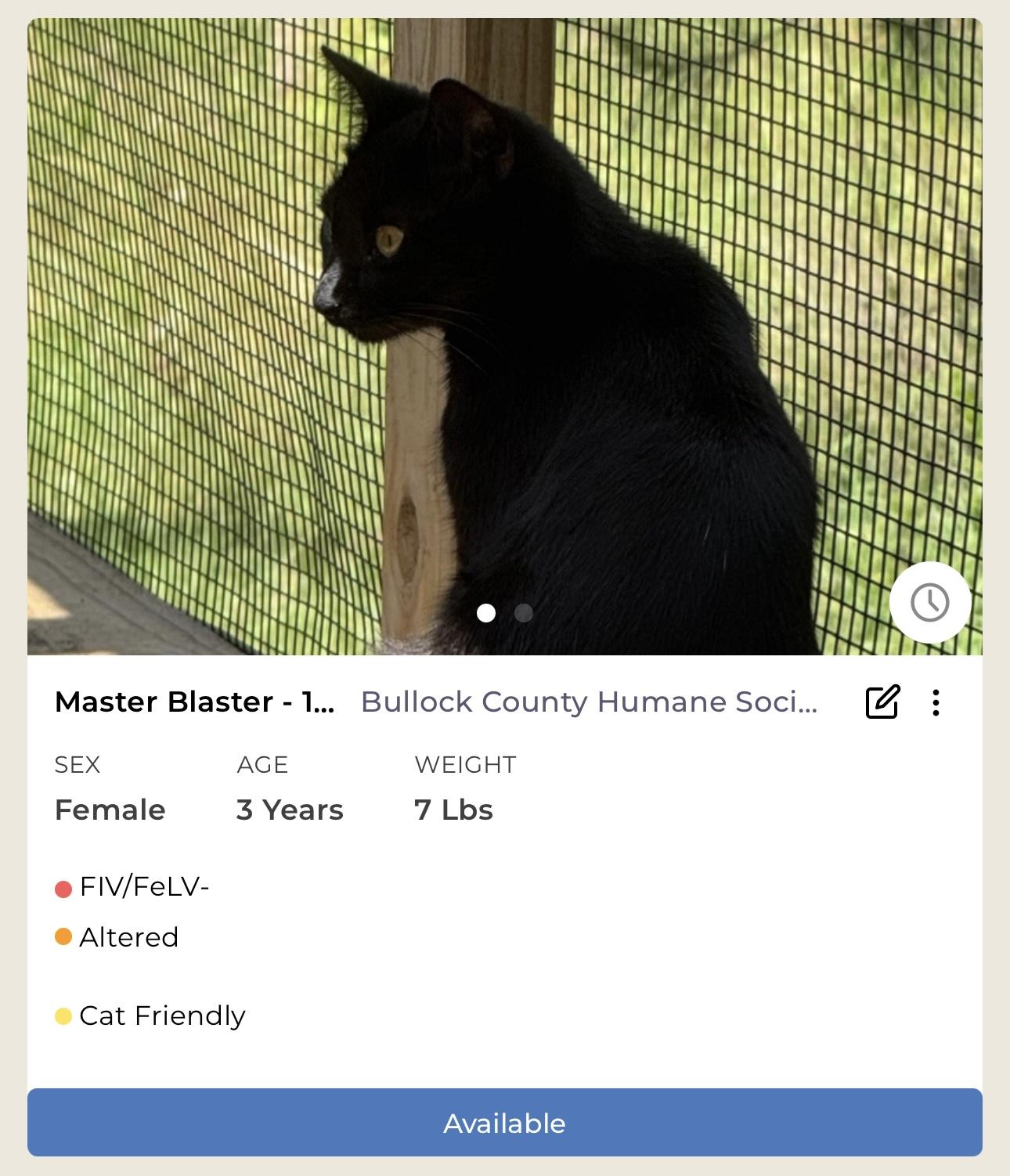 Master Blaster #17883-24 photo 2