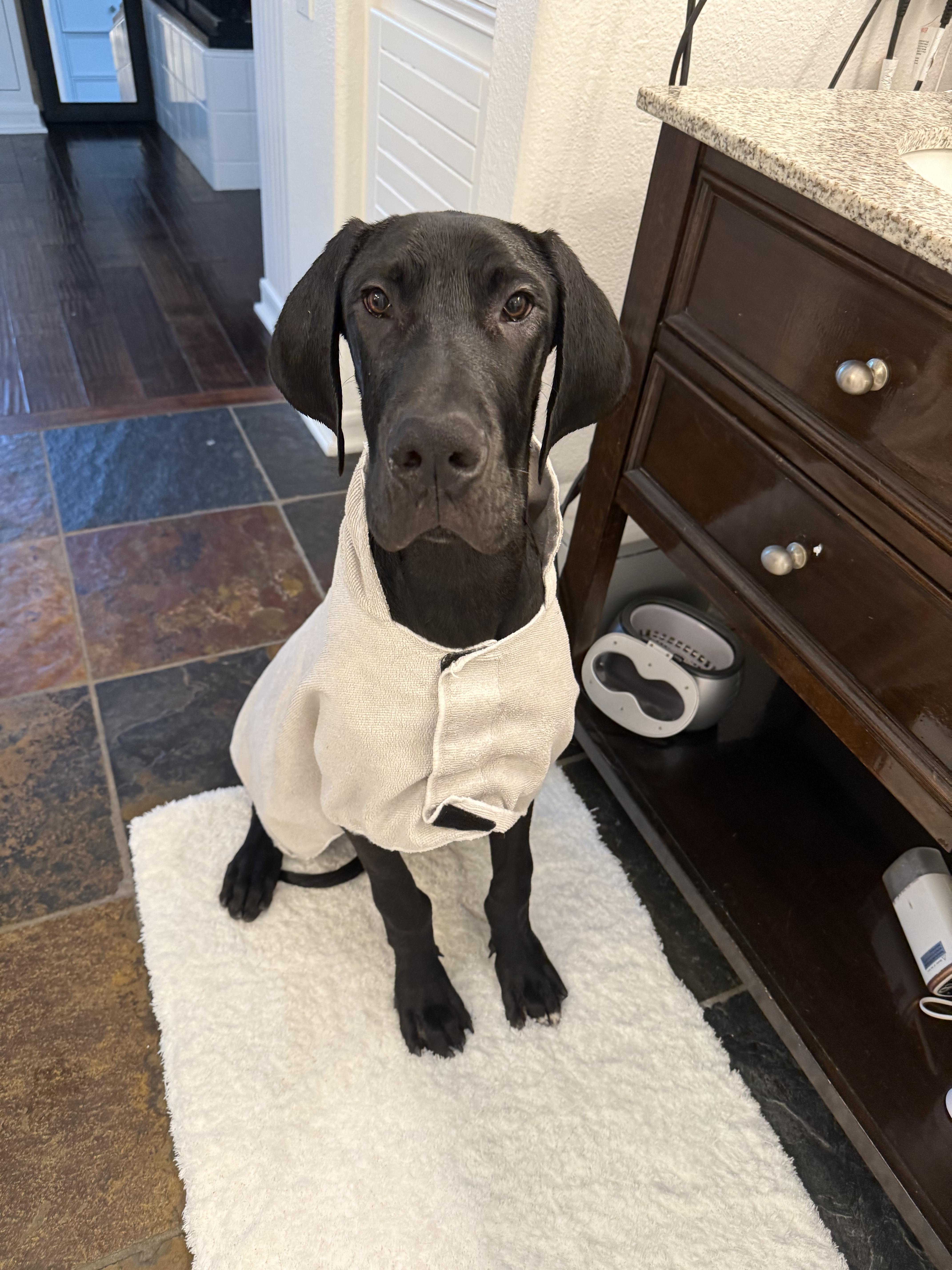 Louie