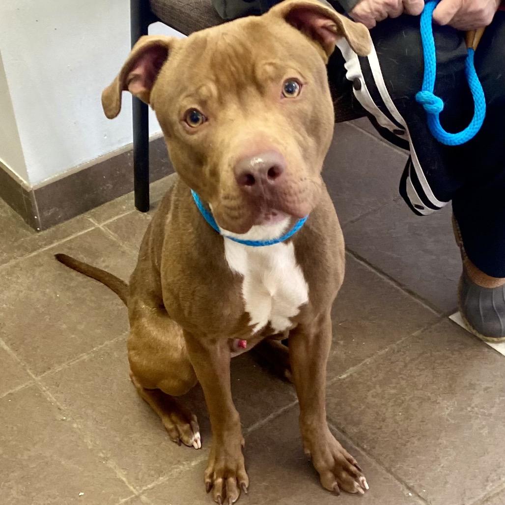 Apollo 0869 — thumbnail 2