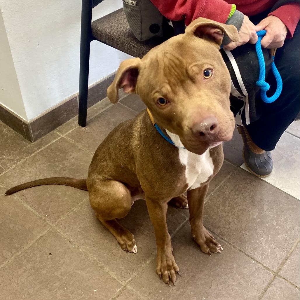 Apollo 0869 — thumbnail 6