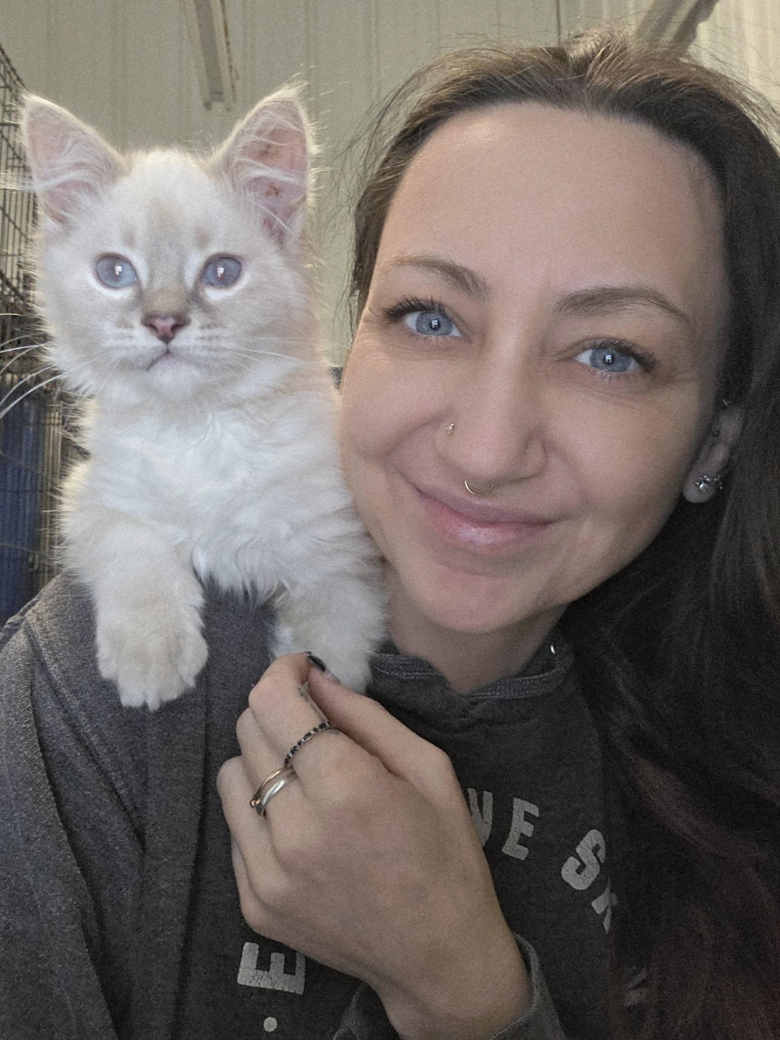 Bodensee — thumbnail 2