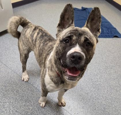 Svetlana thumbnail 3