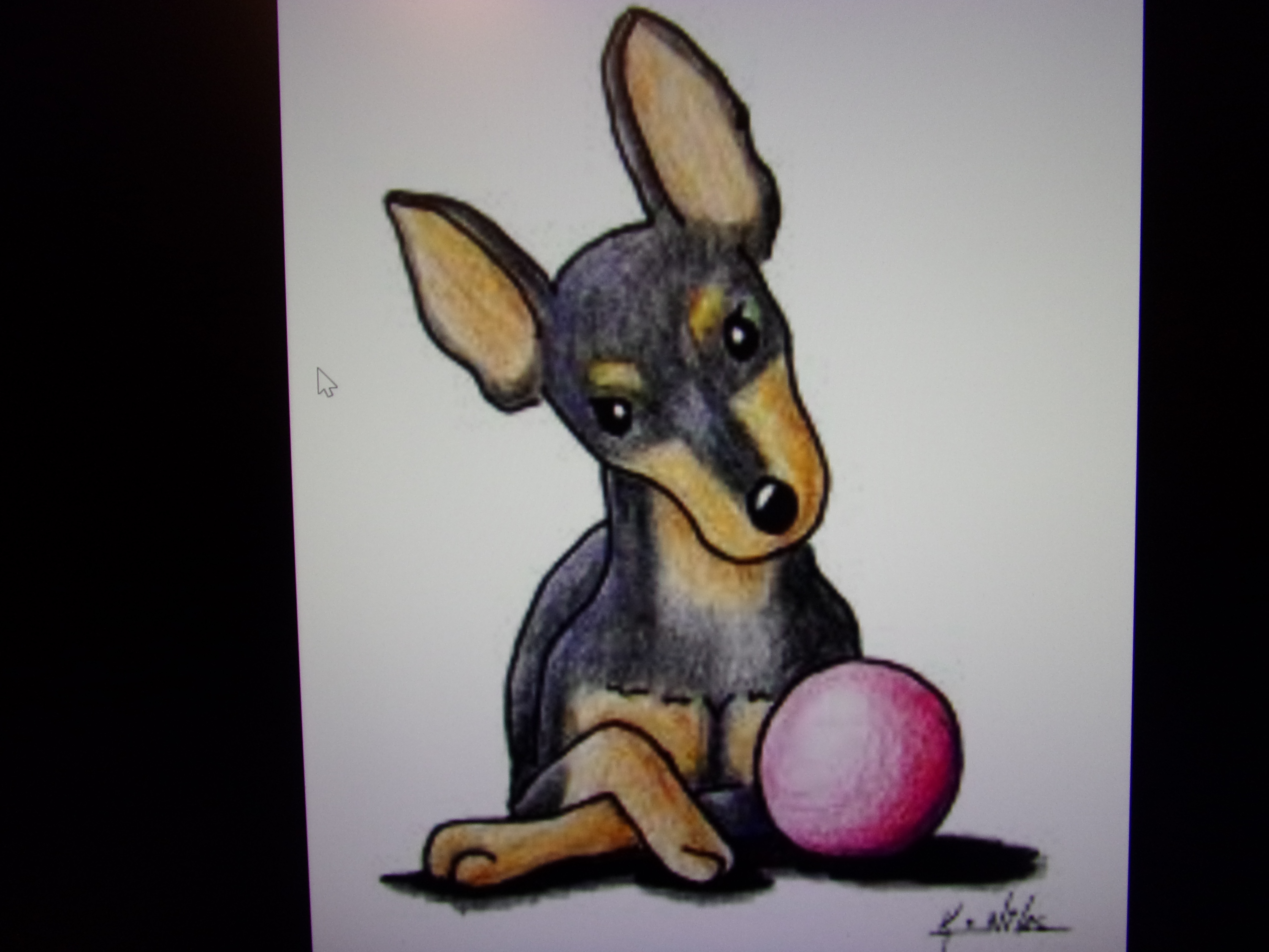 Enlarge WOULD YOU FOSTER?, a Adoptable Miniature Pinscher in Pinellas Park, FL image 2/2