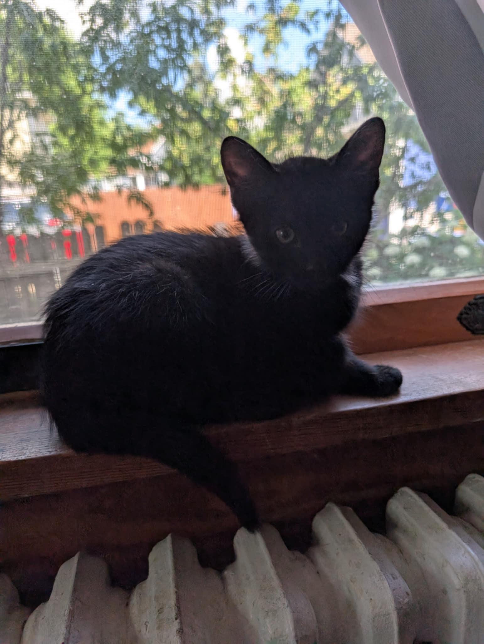 Lenny photo 2