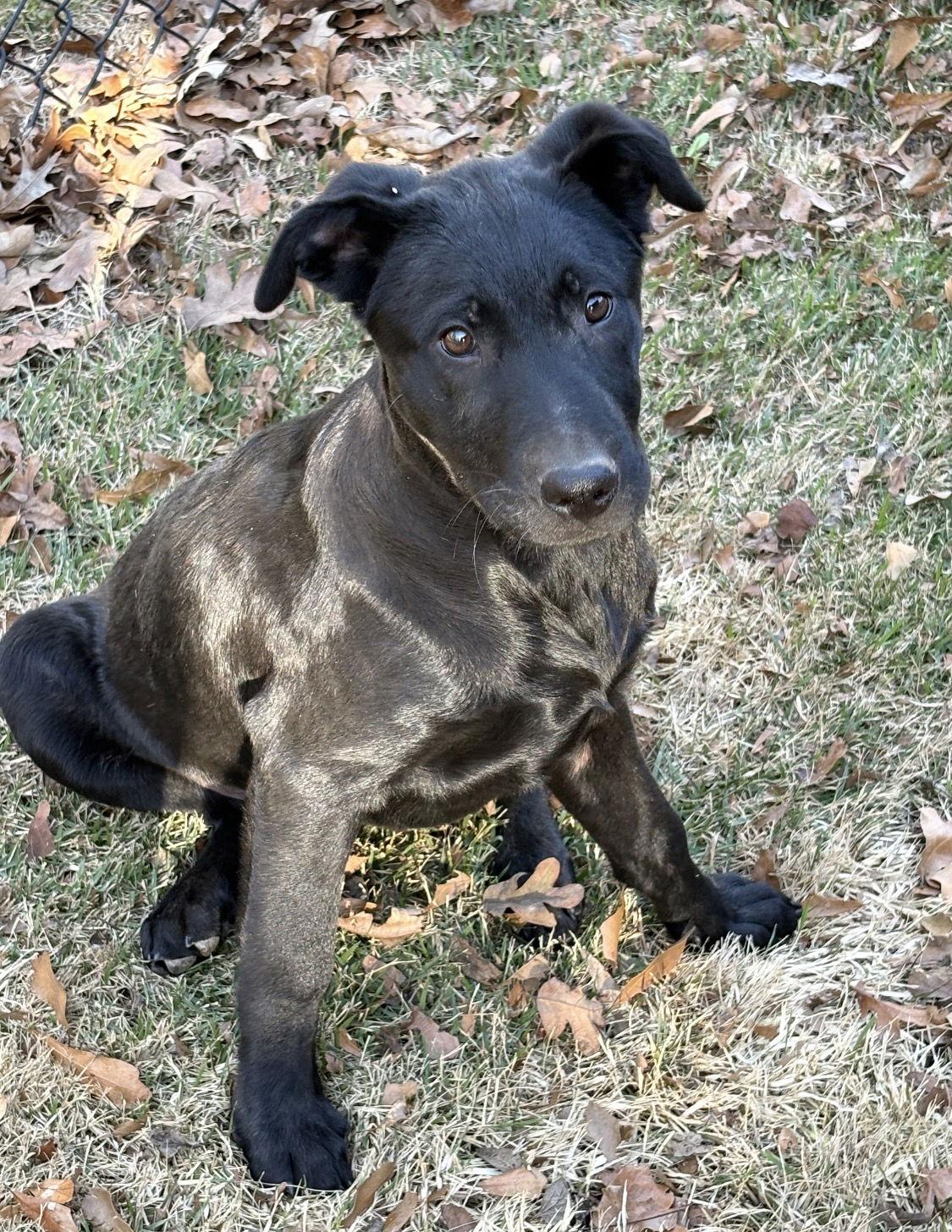 Andrew Lonestar thumbnail 2