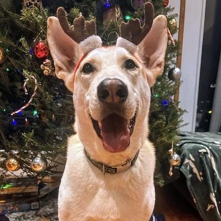 Cooper (20240415-01)