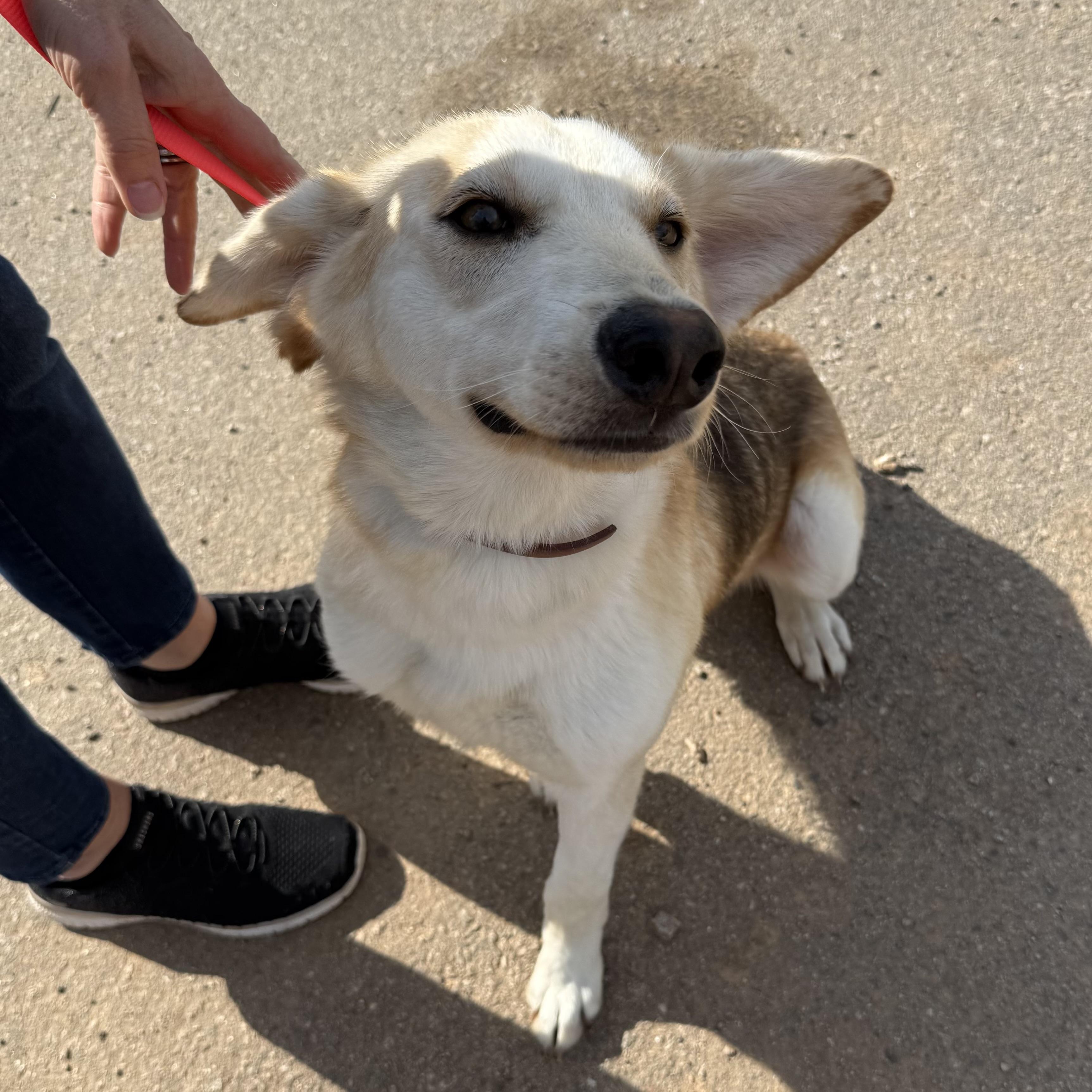 Marty — thumbnail 4