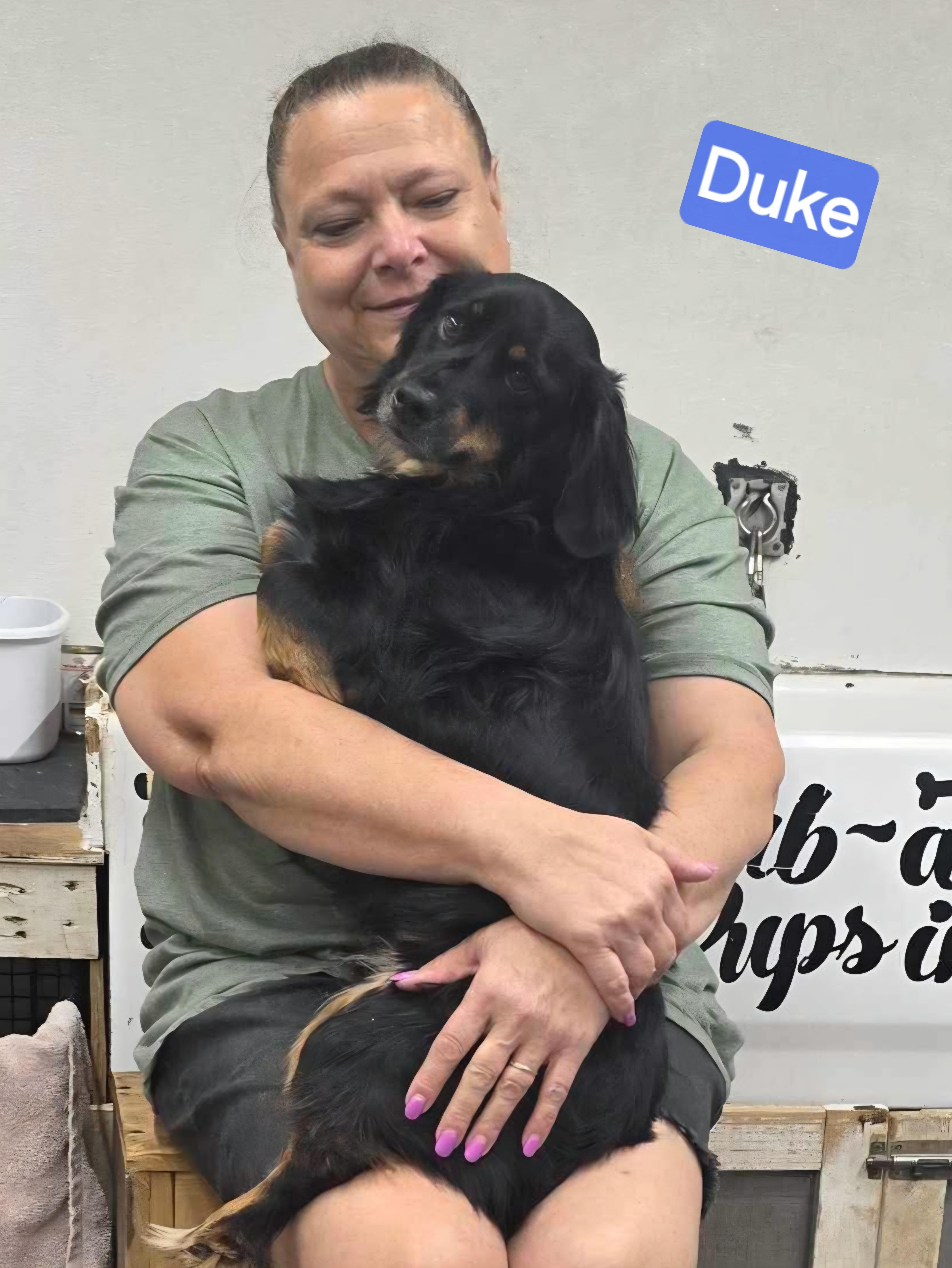 Enlarge Duke, a ADOPTABLE mixed breed in Wheelersburg, OH image 3/5