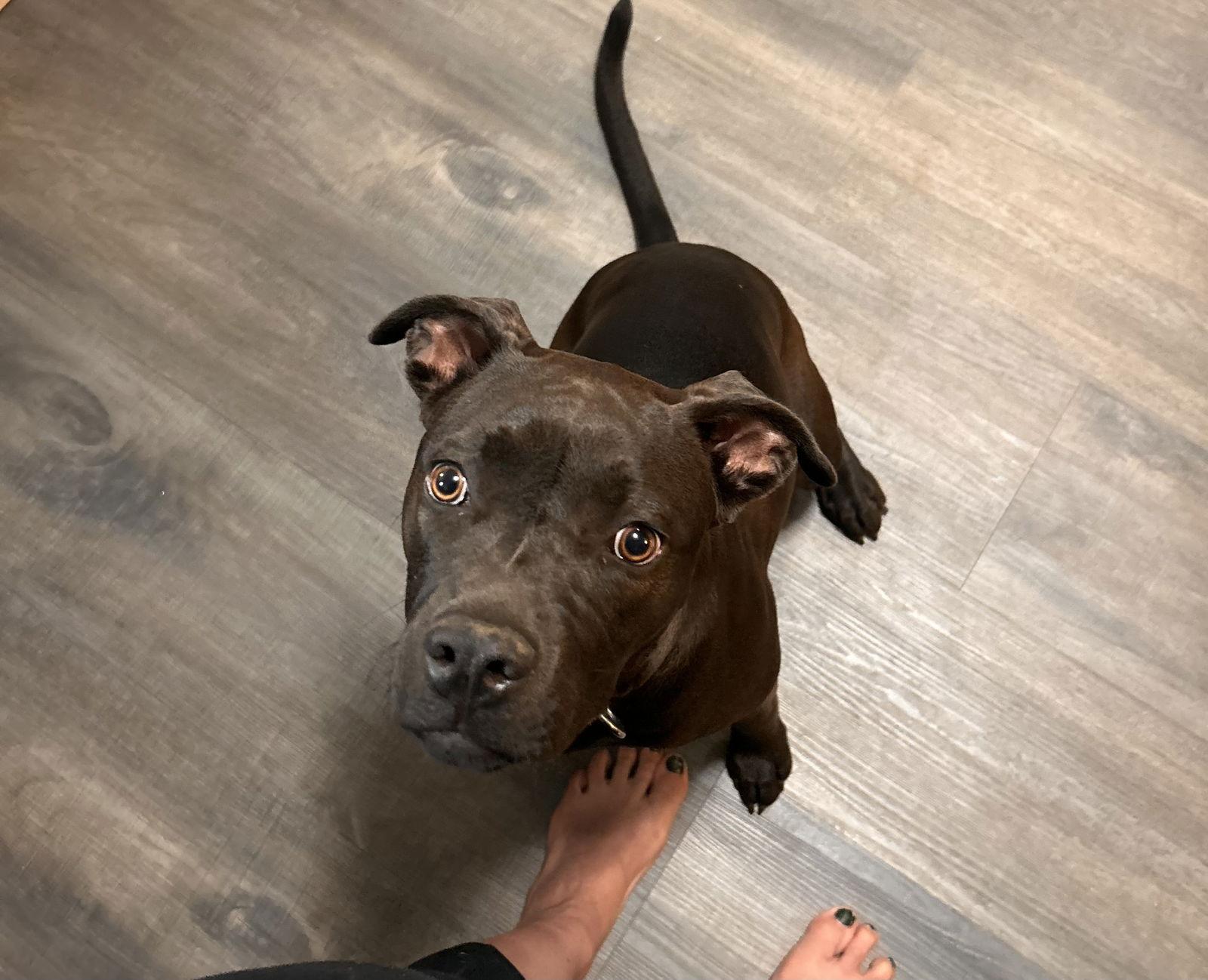 ANNIE — thumbnail 2