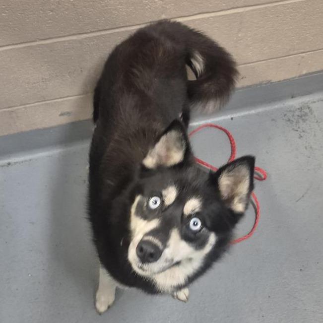 Mercury — thumbnail 2