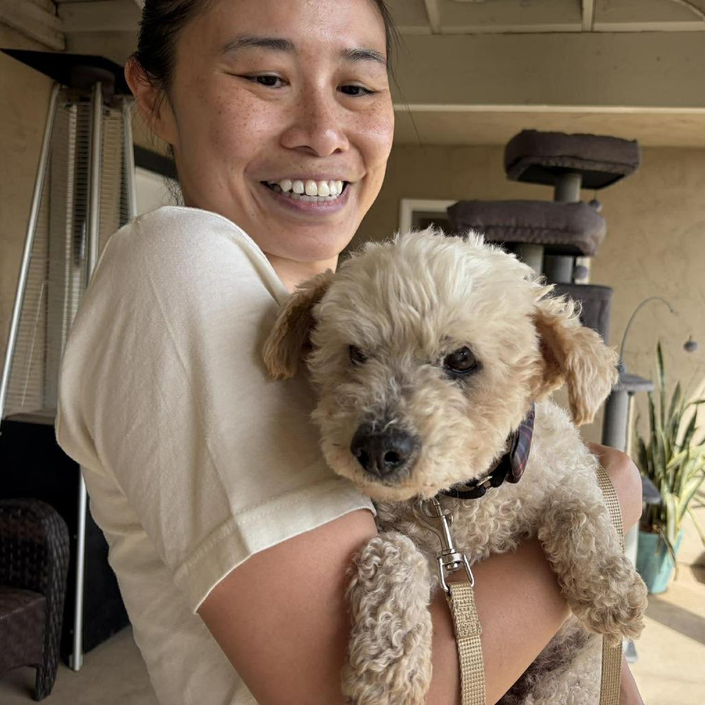 Mr. Magoo — thumbnail 2