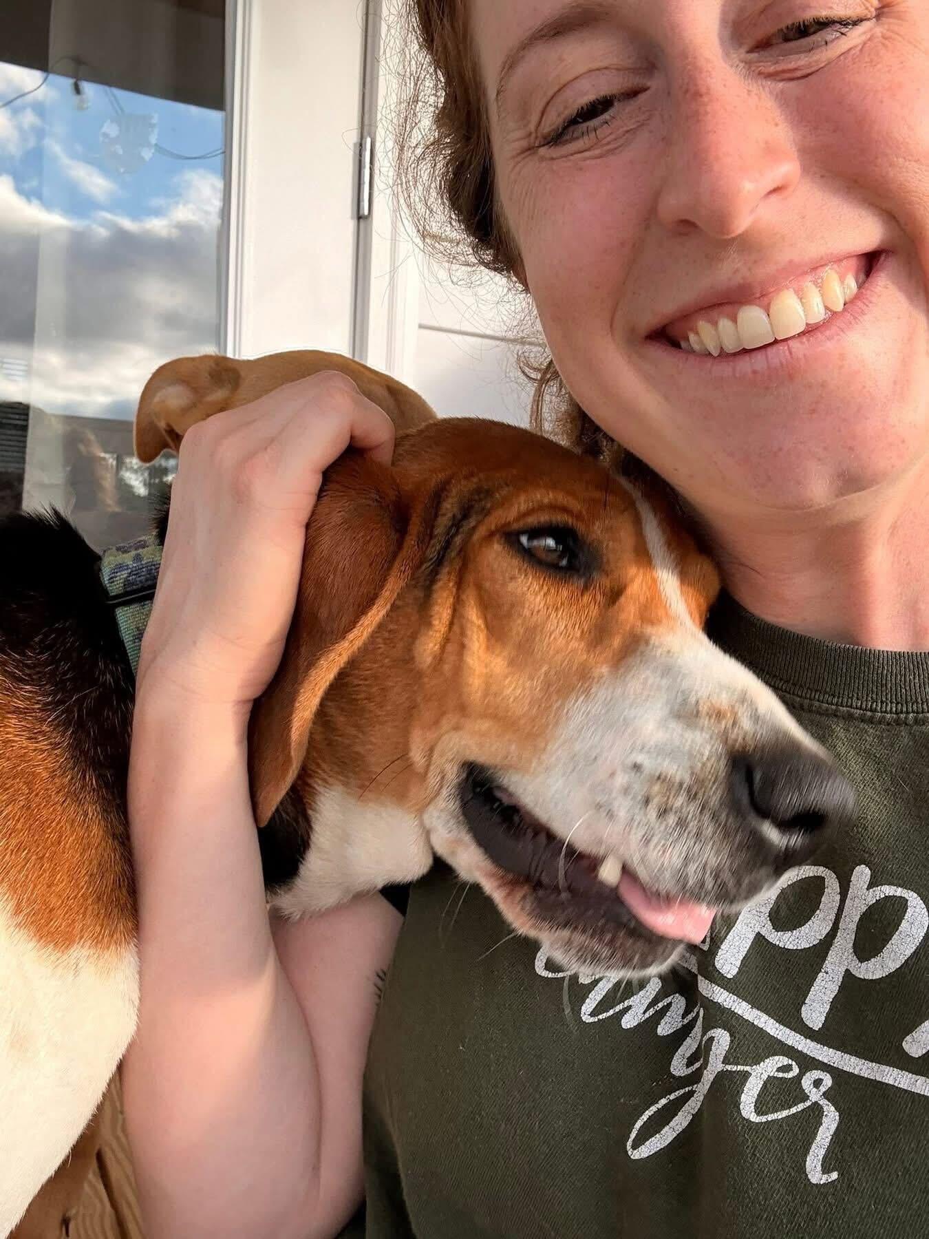 Enlarge Sammi Wammi, a ADOPTABLE Treeing Walker Coonhound in Marshall, NC image 4/6