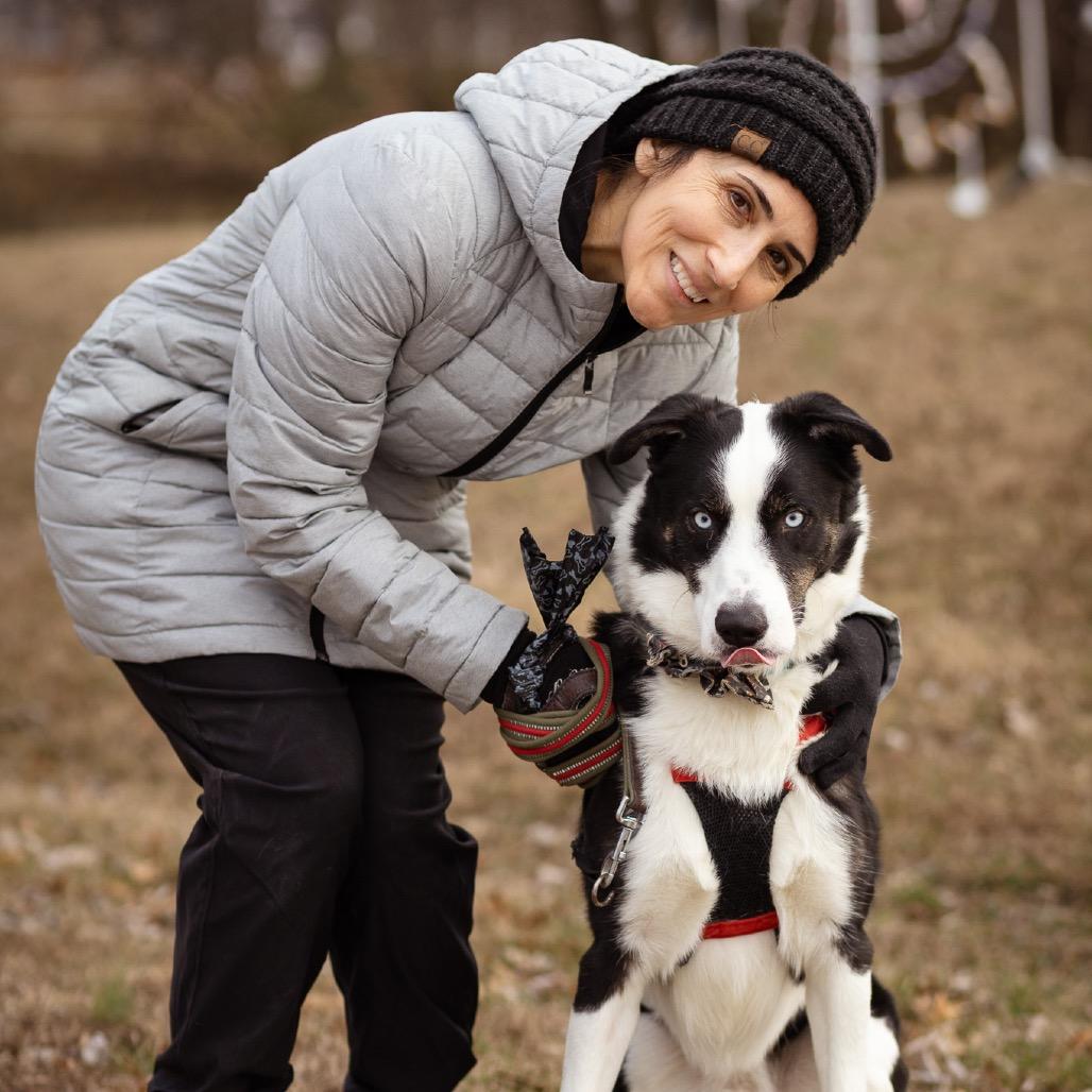 Kenzie, Adoptable, Adult Male Border Collie & Husky.
